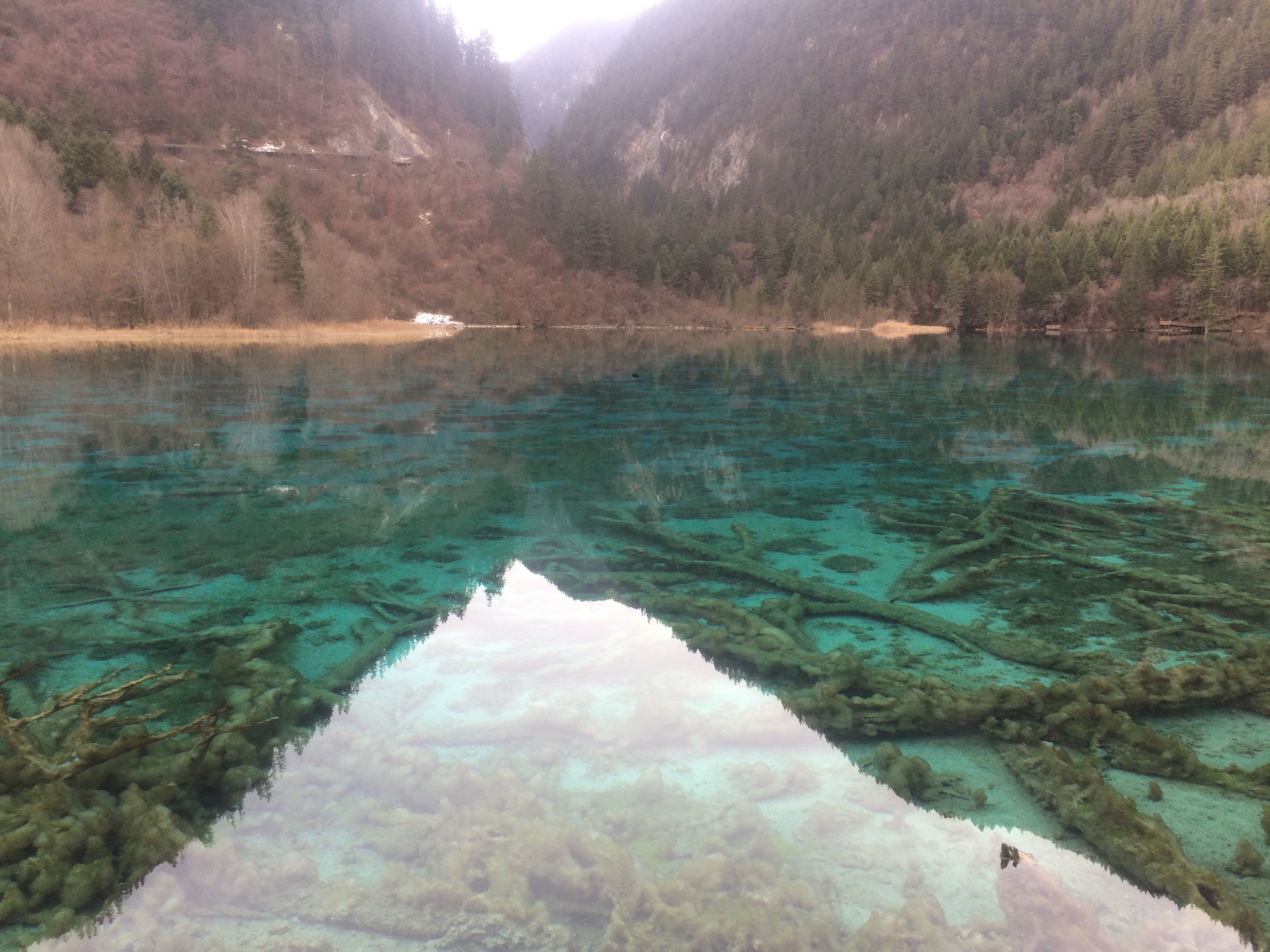 今年的春节大假，不一样的出行(图9)